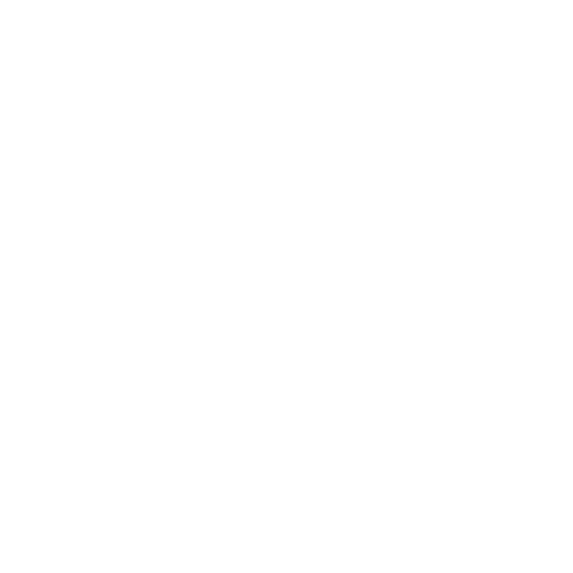 Raimundo Santos